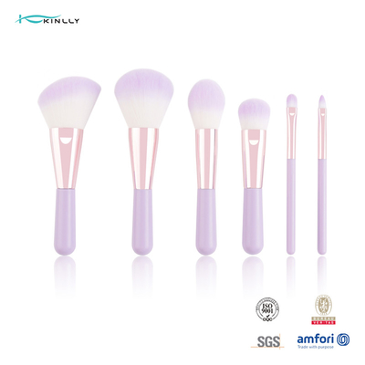 Sistema de cepillo cosmético de 6PCS Mini Gift Makeup Brush Set con el pelo sintético de dos colores