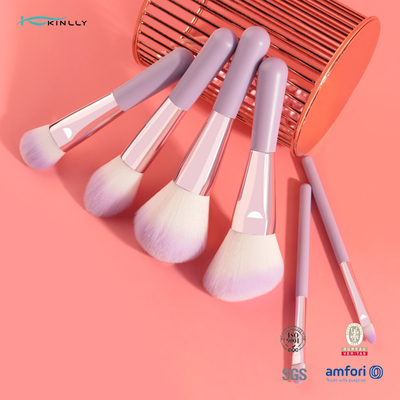 Sistema de cepillo cosmético de 6PCS Mini Gift Makeup Brush Set con el pelo sintético de dos colores
