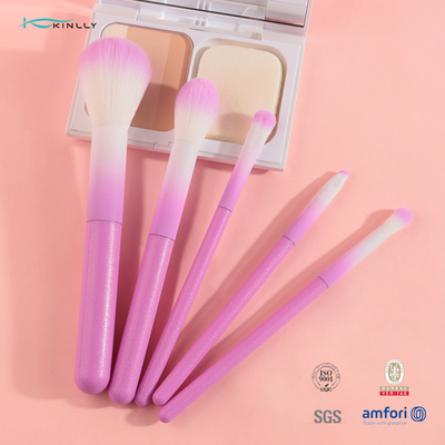 Sistema de cepillo cosmético colorido del maquillaje 5pcs con la manija plástica rosada