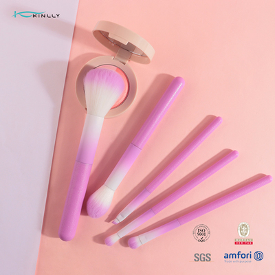 Sistema de cepillo cosmético colorido del maquillaje 5pcs con la manija plástica rosada