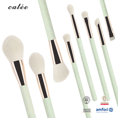 8pcs manija de plástico maquillaje de viaje conjunto de cepillo cabello sintético y ferrule de aluminio con caja de paquete de PVC