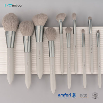 Sistema de cepillo de lujo nano del maquillaje del OEM 10PCS para la cara